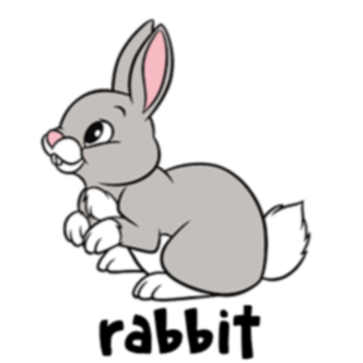 It's a rabbit.