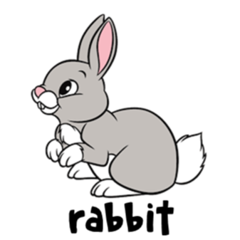 rabbit